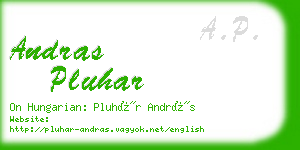 andras pluhar business card